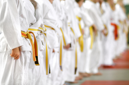 Martial Arts Insurance in Sparks, Reno, Washoe County, NV.